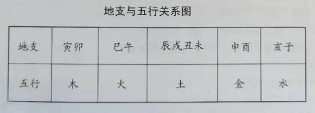 八字中的地支揭示了地气运动的规律，地支中共有十二个元素