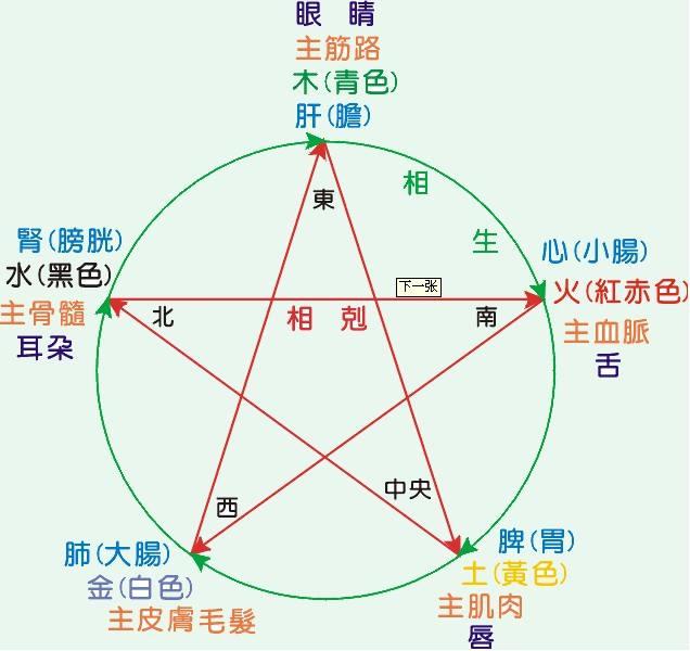 八字中的地支揭示了地气运动的规律，地支中共有十二个元素