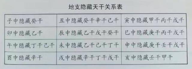 八字中的地支揭示了地气运动的规律，地支中共有十二个元素