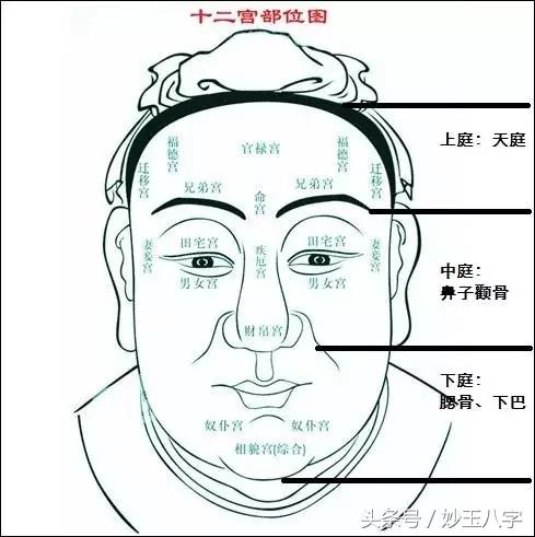 看面相最快的方法