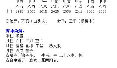 四柱八字解盘_四柱八字算命