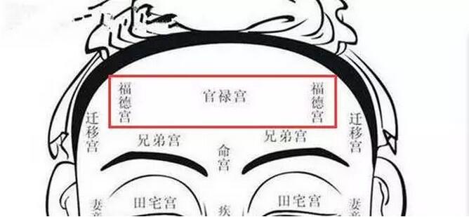 如何看面相 图解_如何看面相 图解 女人