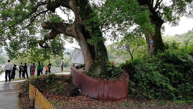 中国第一风水村在哪里？江西兴国县三僚村景点