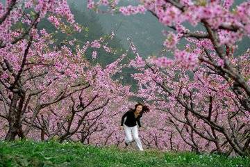 免费八字算桃花_八字姻缘分析