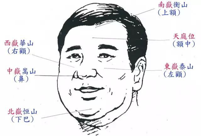 面相图解大全 男子_面部10处恶痣