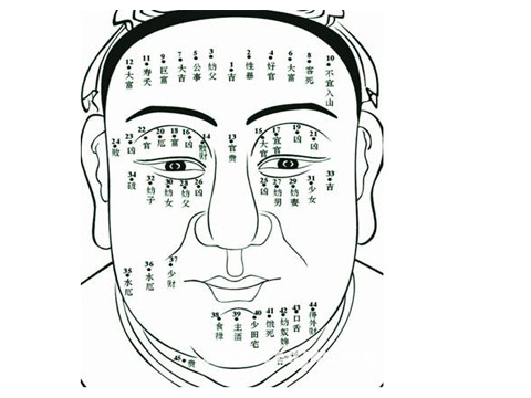 面相十二宫图解_麻衣相面相图解说明
