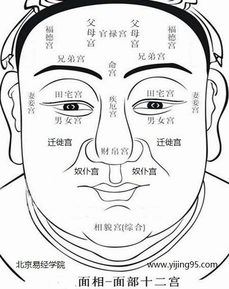 面相培训班_简少年面相学课程