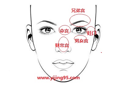 面相培训班_简少年面相学课程