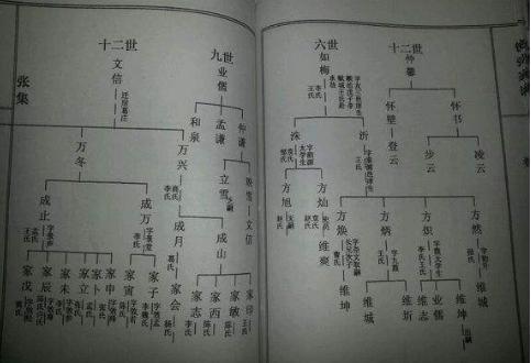 给女生取名姓莫_方姓女孩名字