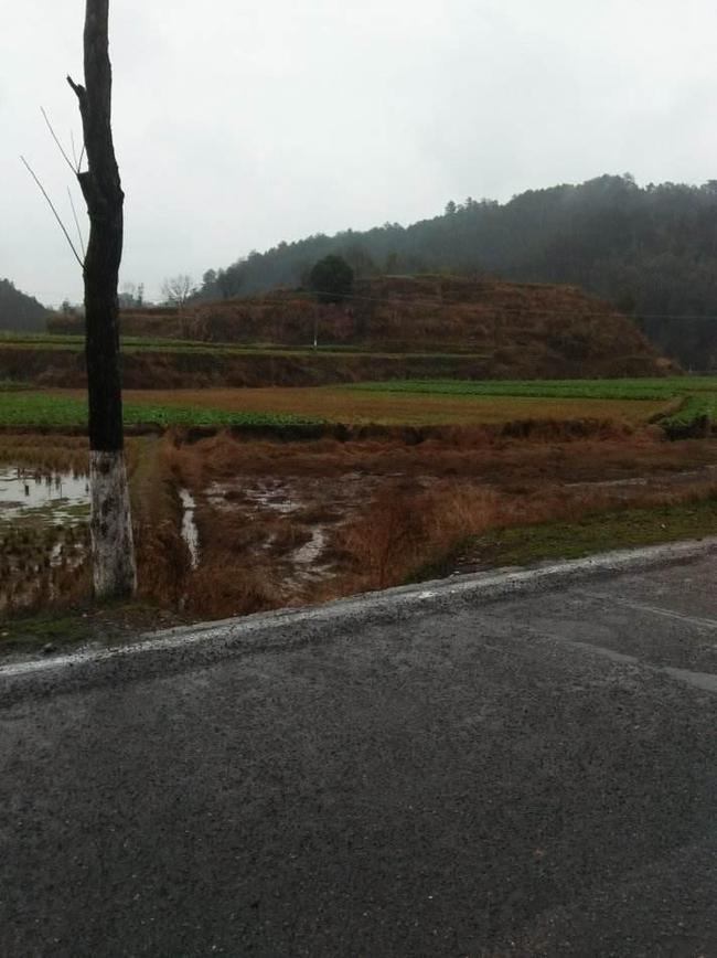 电线杆风水_窗外电线杆的风水化解