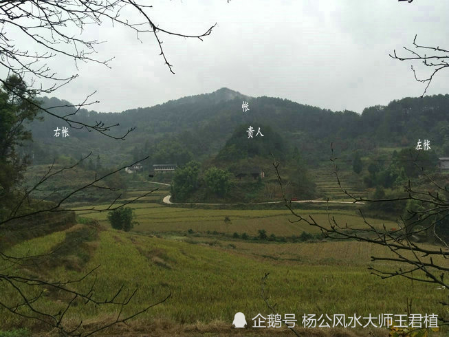 龙地风水_龙头风水宝地