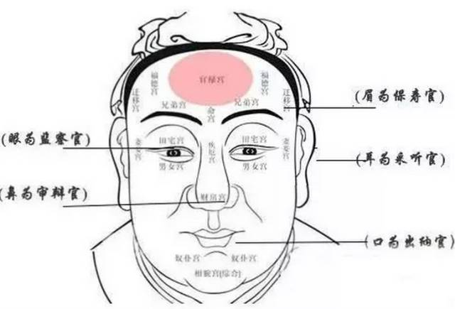 如何看面相_面相学图解