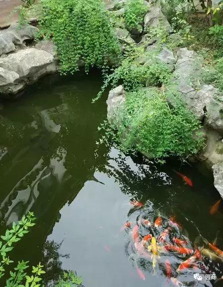 庭院中鱼池的风水布局