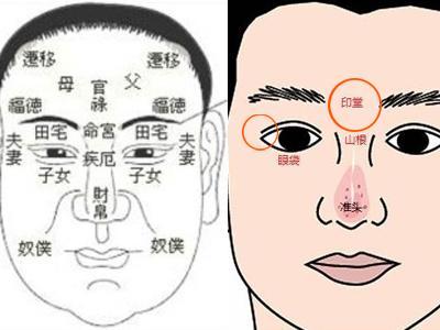 面相知识_手相图解