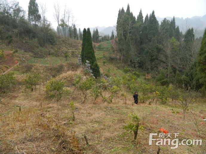 风水出科甲_出7个状元祖坟风水