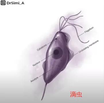 私处分泌物的6种变化，出现这3种颜色赶紧和他一起就医