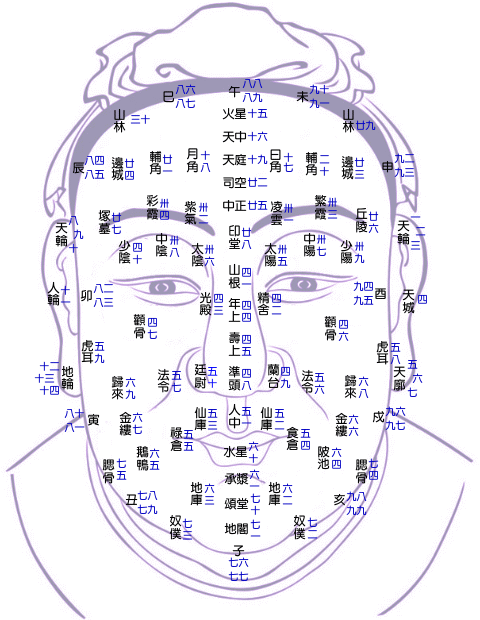 面相命运_面相疤痕图解