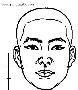 人中看面相_人中面相学