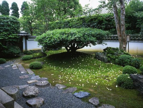 房前屋后的风水_屋后有土堆风水好不好