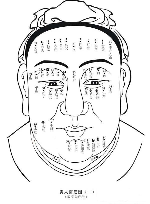 人中面相图解_面相学入门