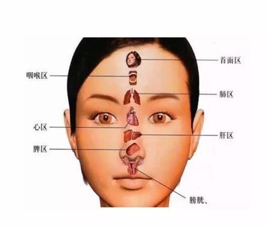 关于面相_面相总结