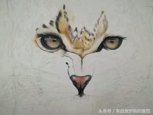 素描彩绘：金钱豹，它的风水寓意大家知道吗