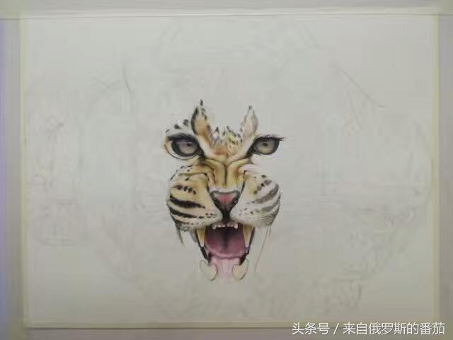 素描彩绘：金钱豹，它的风水寓意大家知道吗