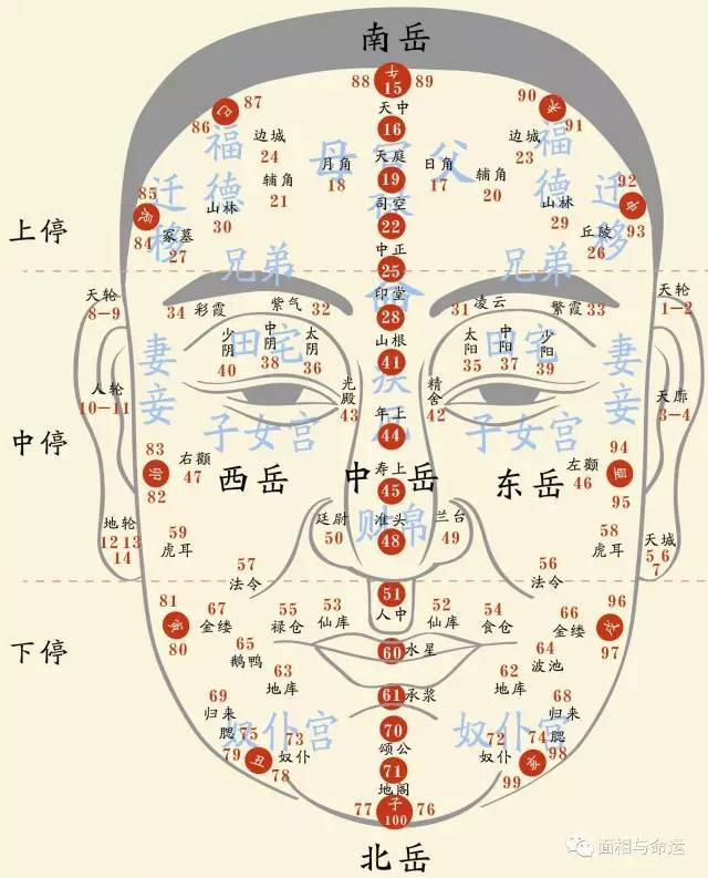 自面相_面相分析