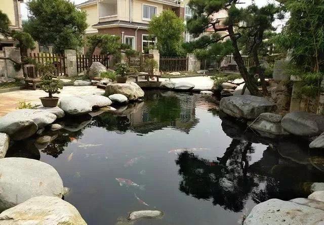 院子水池风水_庭院鱼池风水禁忌