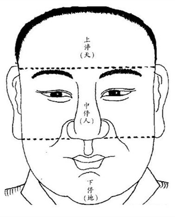 看看面相_看面相算命运