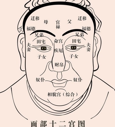 鼻子 面相_整容鼻子会改变运势吗