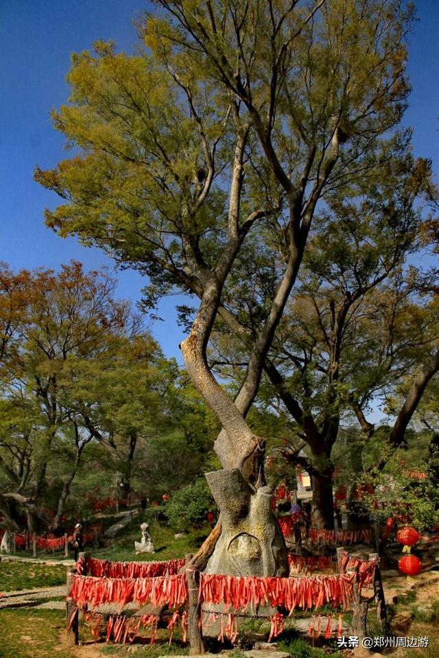 河南与山西交界处的这个小村庄，见证了一段人神之间的美丽爱情