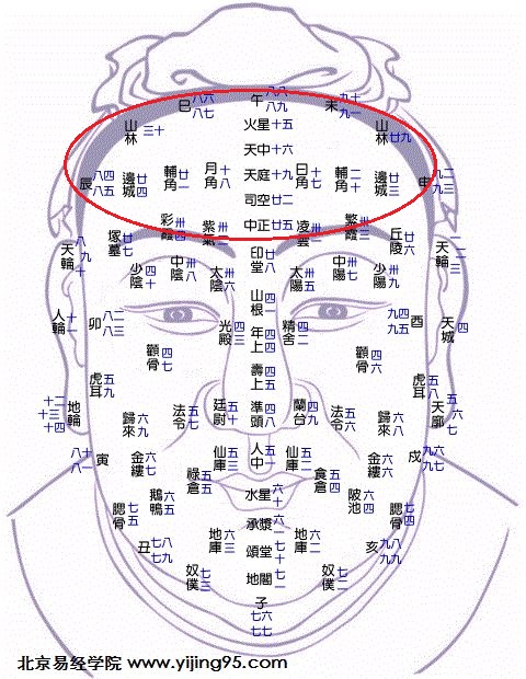 面相什么_面相具有贵气的女人