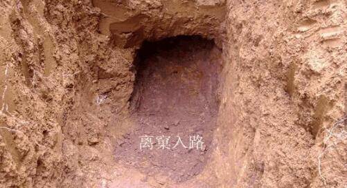 真龙风水五色土_好风水都有五色土吗