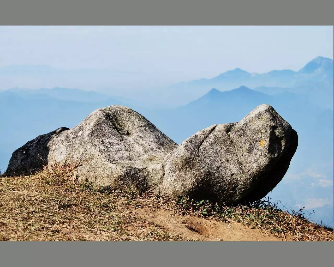 风水龟山顶_龟背龟坟地