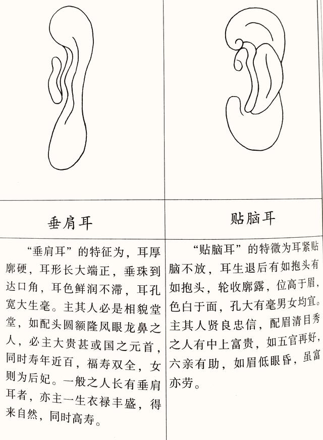 面相：耳为福星——女性耳相怎么看？