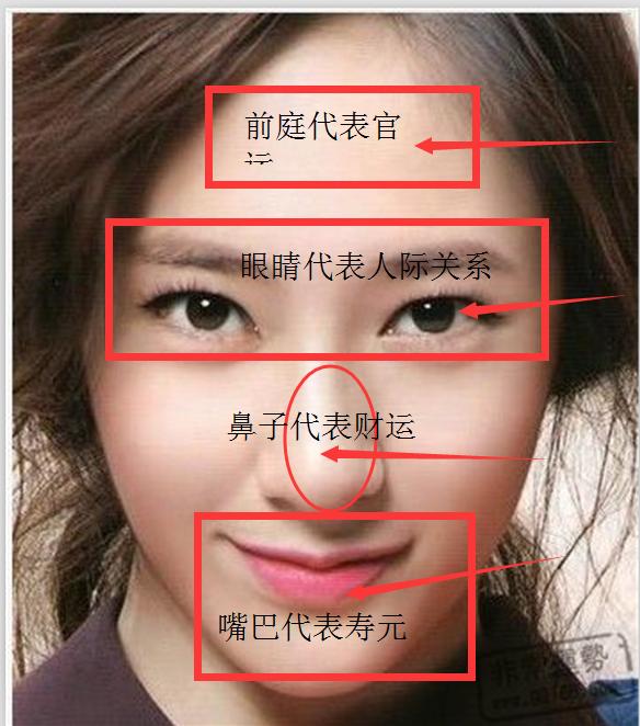 面相怎么看寿命_面相8个部位看你的寿命