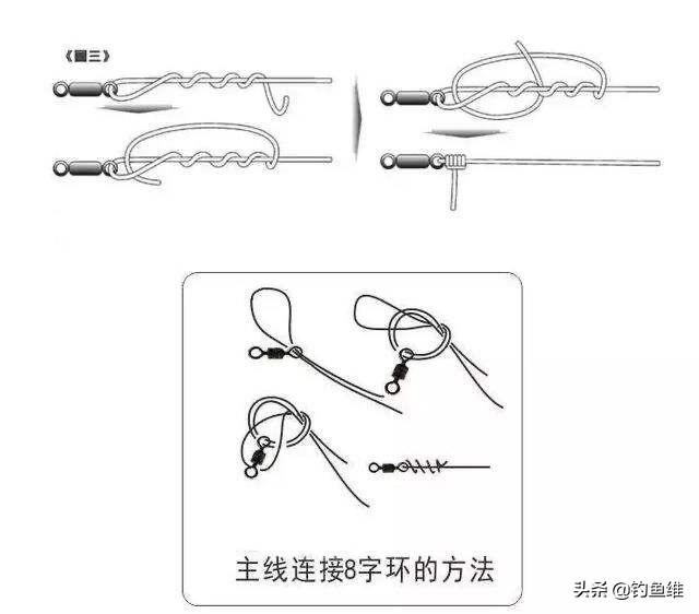 图解钓鱼圈八字环，主线，竿稍，鱼钩，太空豆，鱼线等创新绑法