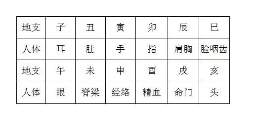 八字基础入门_一步一步教你八字入门