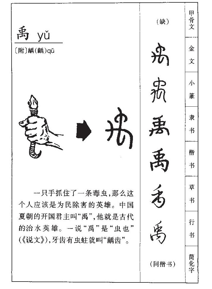 择字五行，医字五行属什么