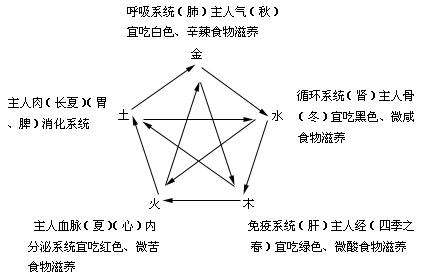 人体五行操，人体五行口诀