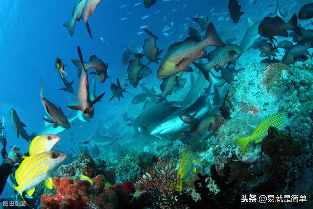 详解《易经》坎卦：水的象征，深受中国人推崇的水之智慧