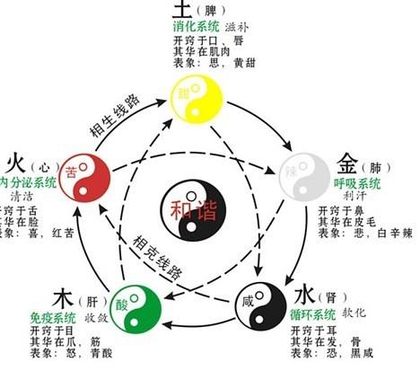 五行 出生，出生日期查五行对照表