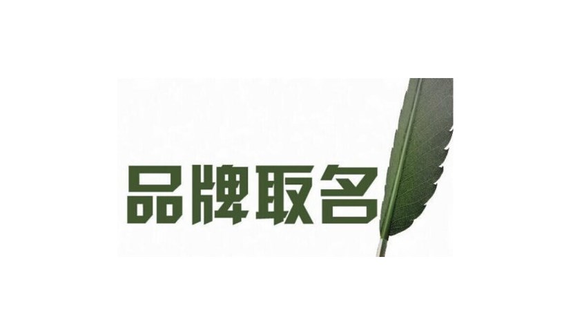 服务类公司取名，霸气公司取名参考