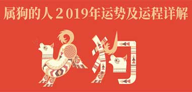 2019五行属，2019年什么五行什么生肖