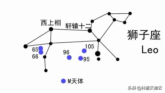 【科学向日葵】认识春季星座（二）——狮子座