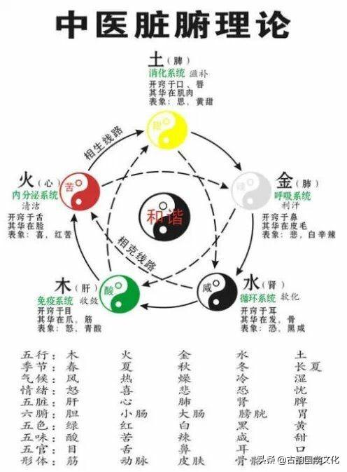 《易经》全文翻译及图文，价值连城，请收藏