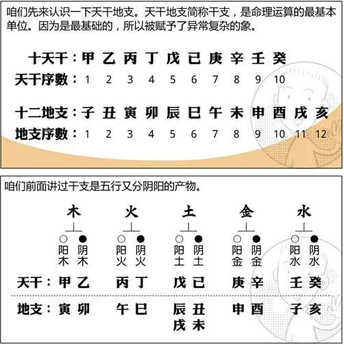 灵机命理，灵机妙算八字排盘免费版下载