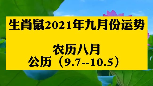 9月出生的鼠宝宝名字，农历九月份出生的宝宝取名