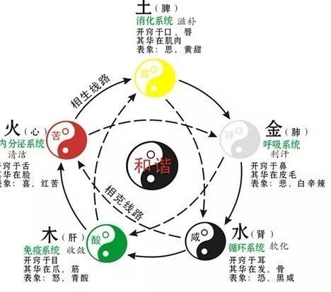 忧的五行，优的五行属性是什么